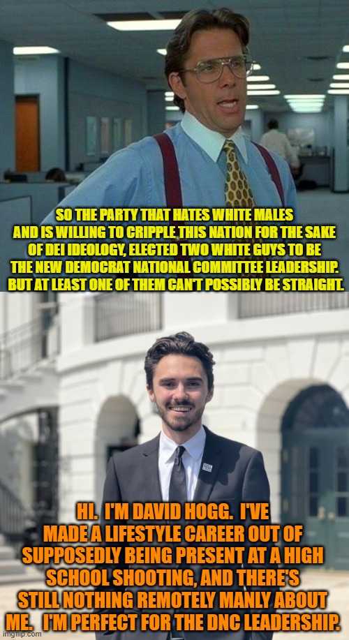 The more the Dem Party's 'leadership' changes, the more it stays the same. | SO THE PARTY THAT HATES WHITE MALES AND IS WILLING TO CRIPPLE THIS NATION FOR THE SAKE OF DEI IDEOLOGY, ELECTED TWO WHITE GUYS TO BE THE NEW DEMOCRAT NATIONAL COMMITTEE LEADERSHIP.  BUT AT LEAST ONE OF THEM CAN'T POSSIBLY BE STRAIGHT. HI.  I'M DAVID HOGG.  I'VE MADE A LIFESTYLE CAREER OUT OF SUPPOSEDLY BEING PRESENT AT A HIGH SCHOOL SHOOTING, AND THERE'S STILL NOTHING REMOTELY MANLY ABOUT ME.   I'M PERFECT FOR THE DNC LEADERSHIP. | image tagged in that would be great | made w/ Imgflip meme maker