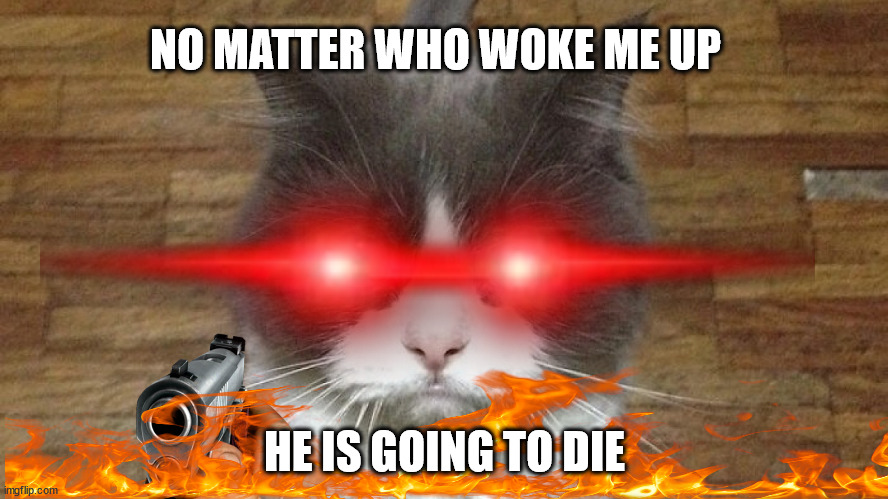 me when someone wakes me up at 7 o'clock on Saturday morning | NO MATTER WHO WOKE ME UP; HE IS GOING TO DIE | image tagged in memes,funny,cats,wake up | made w/ Imgflip meme maker