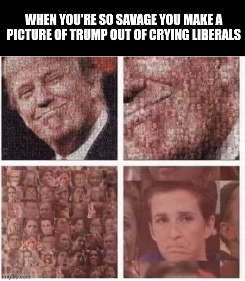 The Crying Game | WHEN YOU'RE SO SAVAGE YOU MAKE A PICTURE OF TRUMP OUT OF CRYING LIBERALS | image tagged in tds,crying liberal,president trump,collage,so much savagery | made w/ Imgflip meme maker