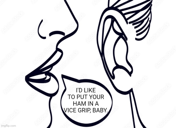 Whoa! Black Betty! | I'D LIKE TO PUT YOUR HAM IN A VICE GRIP, BABY. | image tagged in woman whispering into man's ear,bad joke | made w/ Imgflip meme maker