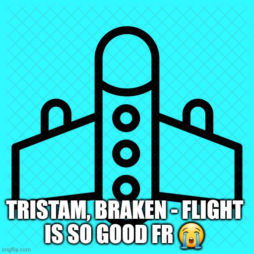 military plane | TRISTAM, BRAKEN - FLIGHT 
IS SO GOOD FR 😭 | image tagged in military plane | made w/ Imgflip meme maker