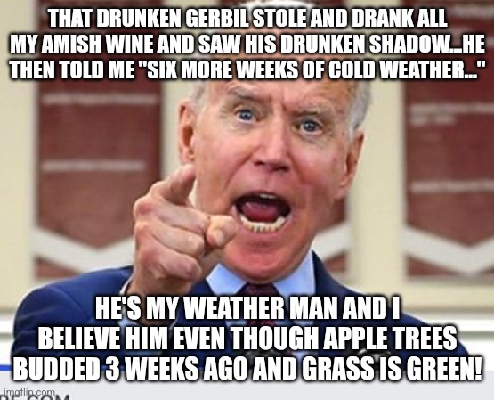 Drunksatawney Phil | THAT DRUNKEN GERBIL STOLE AND DRANK ALL MY AMISH WINE AND SAW HIS DRUNKEN SHADOW...HE THEN TOLD ME "SIX MORE WEEKS OF COLD WEATHER..."; HE'S MY WEATHER MAN AND I BELIEVE HIM EVEN THOUGH APPLE TREES BUDDED 3 WEEKS AGO AND GRASS IS GREEN! | image tagged in joe biden no malarkey,groundhog day | made w/ Imgflip meme maker