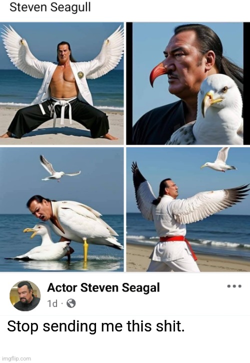 Above the Beach | Stop sending me this shit. | image tagged in steven seagal,seagulls,bad actors,bad,action movies,facebook problems | made w/ Imgflip meme maker