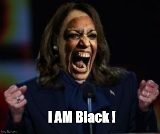 I AM Black ! | made w/ Imgflip meme maker