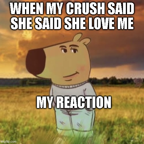 so chill | WHEN MY CRUSH SAID SHE SAID SHE LOVE ME; MY REACTION | image tagged in chill guy | made w/ Imgflip meme maker