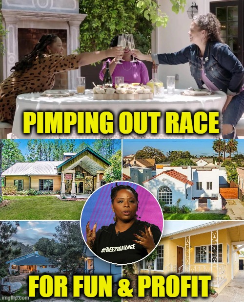 Leveraging race for political support | PIMPING OUT RACE; FOR FUN & PROFIT | image tagged in leftists | made w/ Imgflip meme maker