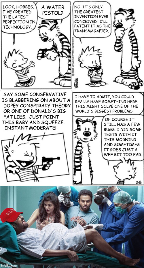 The name might need a tweak. | image tagged in memes,calvin and hobbes,transmagafier,tiny birth canal | made w/ Imgflip meme maker