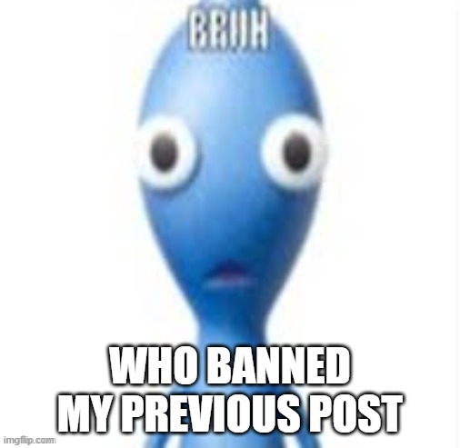 BRUH | WHO BANNED MY PREVIOUS POST | image tagged in bruh | made w/ Imgflip meme maker