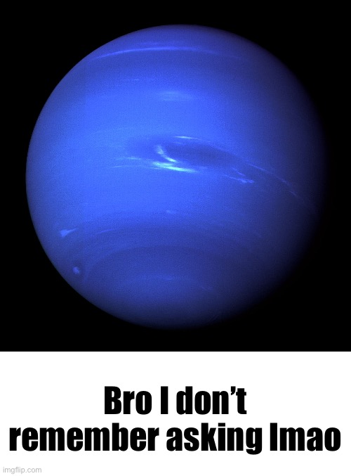 Bro I don’t remember asking lmao | image tagged in neptune,blank white template | made w/ Imgflip meme maker