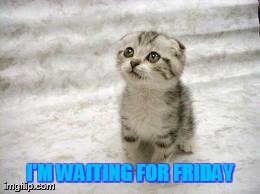 Sad Cat | I'M WAITING FOR FRIDAY | image tagged in memes,sad cat | made w/ Imgflip meme maker