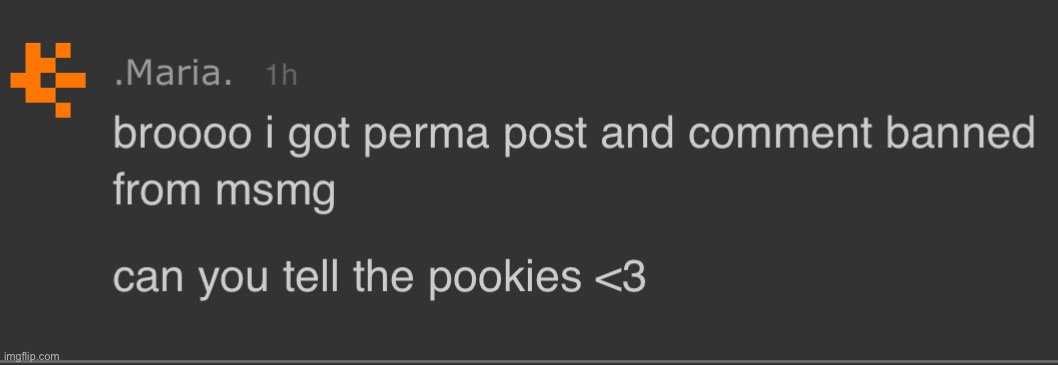 Maria got permabanned for some reason | made w/ Imgflip meme maker