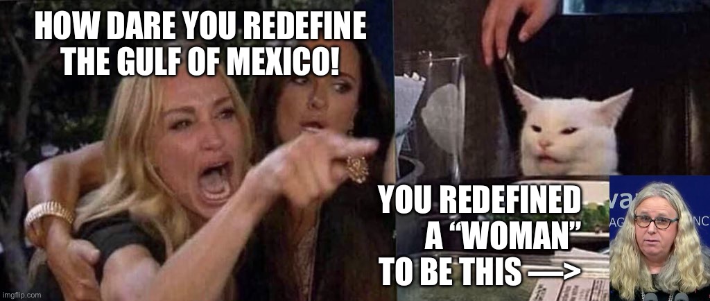 Progressive ideas are GARBAGE | HOW DARE YOU REDEFINE THE GULF OF MEXICO! YOU REDEFINED A “WOMAN” TO BE THIS —> | image tagged in woman yelling at cat,looney left,conservative are smarter | made w/ Imgflip meme maker