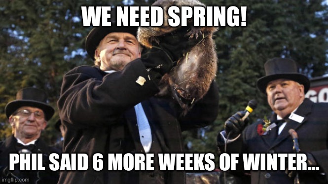 Ugh. | WE NEED SPRING! PHIL SAID 6 MORE WEEKS OF WINTER… | image tagged in groundhog day | made w/ Imgflip meme maker