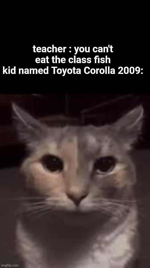 erm .. | teacher : you can't eat the class fish
kid named Toyota Corolla 2009: | image tagged in erm | made w/ Imgflip meme maker