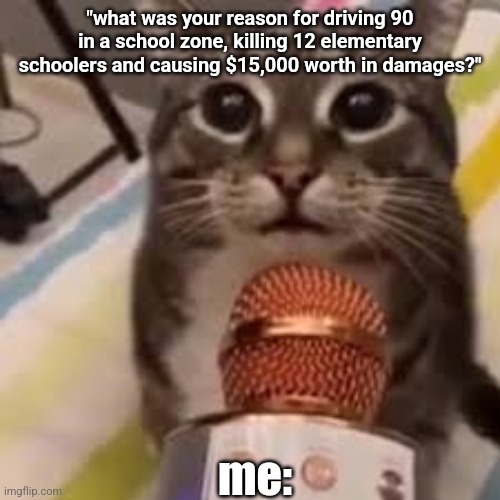 cat w microphone | "what was your reason for driving 90 in a school zone, killing 12 elementary schoolers and causing $15,000 worth in damages?"; me: | image tagged in cat w microphone | made w/ Imgflip meme maker