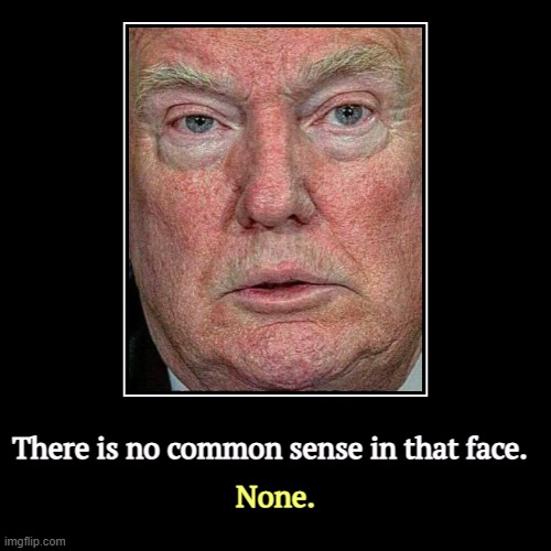 There is no common sense in that face. | None. | image tagged in funny,demotivationals,trump,common sense,never,too much makeup | made w/ Imgflip demotivational maker