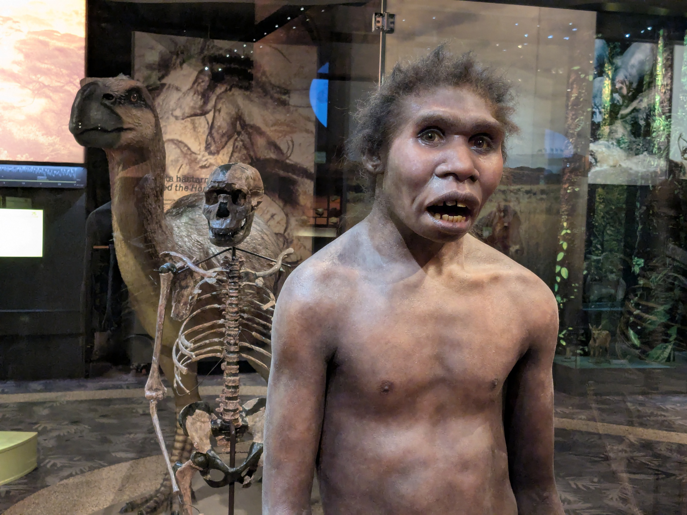 Prehistoric human Blank Meme Template