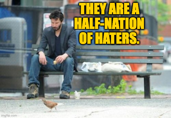 Sad Keanu Meme | THEY ARE A
HALF-NATION
OF HATERS. | image tagged in memes,sad keanu | made w/ Imgflip meme maker