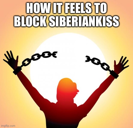 freedom | HOW IT FEELS TO BLOCK SIBERIANKISS | image tagged in freedom | made w/ Imgflip meme maker