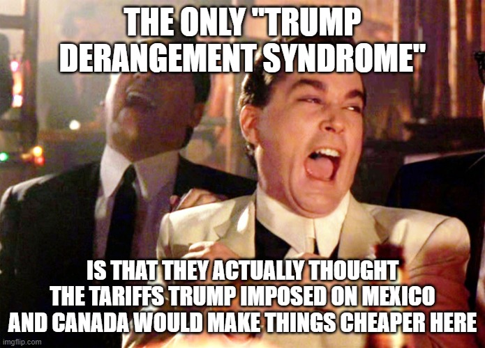 Good Fellas Hilarious | THE ONLY "TRUMP DERANGEMENT SYNDROME"; IS THAT THEY ACTUALLY THOUGHT THE TARIFFS TRUMP IMPOSED ON MEXICO AND CANADA WOULD MAKE THINGS CHEAPER HERE | image tagged in memes,good fellas hilarious | made w/ Imgflip meme maker