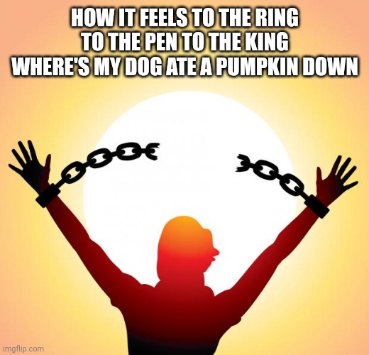 freedom | HOW IT FEELS TO THE RING TO THE PEN TO THE KING WHERE'S MY DOG ATE A PUMPKIN DOWN | image tagged in freedom | made w/ Imgflip meme maker