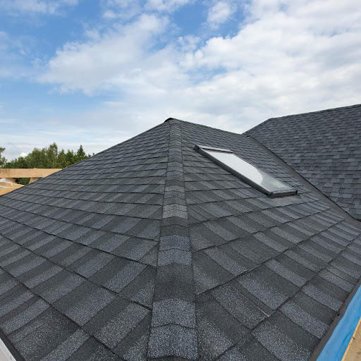Roof Blank Meme Template
