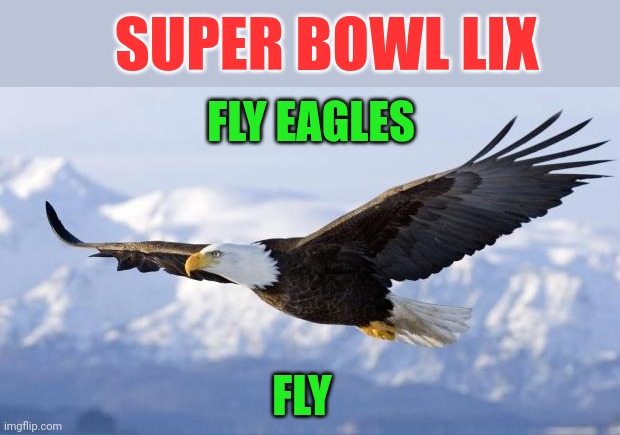 Fly Eagles Fly | SUPER BOWL LIX; FLY EAGLES; FLY | image tagged in eagle,funny memes | made w/ Imgflip meme maker