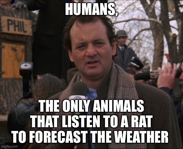 Bill Murray Groundhog Day | HUMANS, THE ONLY ANIMALS THAT LISTEN TO A RAT TO FORECAST THE WEATHER | image tagged in bill murray groundhog day,human | made w/ Imgflip meme maker