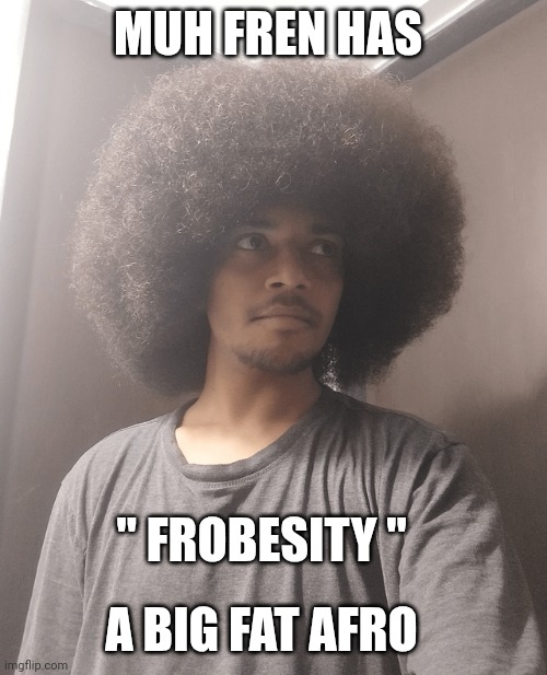 hair memes | MUH FREN HAS; " FROBESITY "; A BIG FAT AFRO | image tagged in afro | made w/ Imgflip meme maker