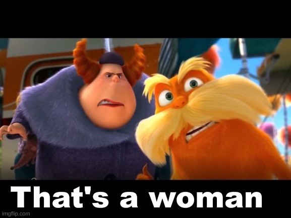 that's a woman but with no question mark | image tagged in that's a woman | made w/ Imgflip meme maker