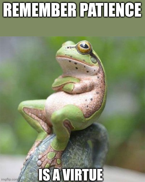 Patience | REMEMBER PATIENCE; IS A VIRTUE | image tagged in frog waiting,funny memes | made w/ Imgflip meme maker