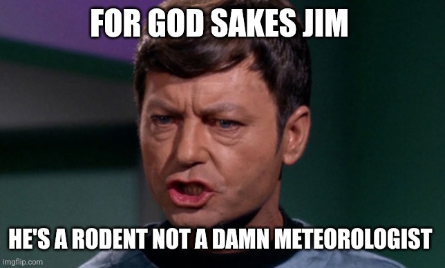 Dr McCoy saying Shit | FOR GOD SAKES JIM; HE'S A RODENT NOT A DAMN METEOROLOGIST | image tagged in dr mccoy saying shit | made w/ Imgflip meme maker