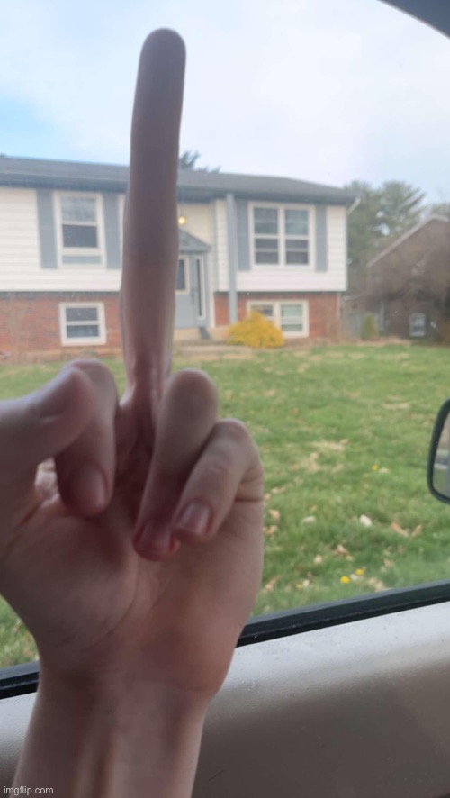 I got a mildly long finger | image tagged in gifs,memes,funny,shitpost,middle finger,msmg | made w/ Imgflip meme maker