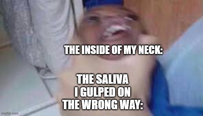 kid getting choked | THE INSIDE OF MY NECK:; THE SALIVA I GULPED ON THE WRONG WAY: | image tagged in kid getting choked | made w/ Imgflip meme maker