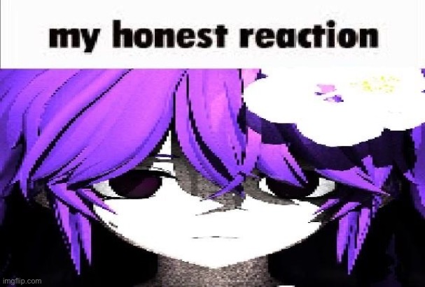 my honest reaction | image tagged in my honest reaction | made w/ Imgflip meme maker