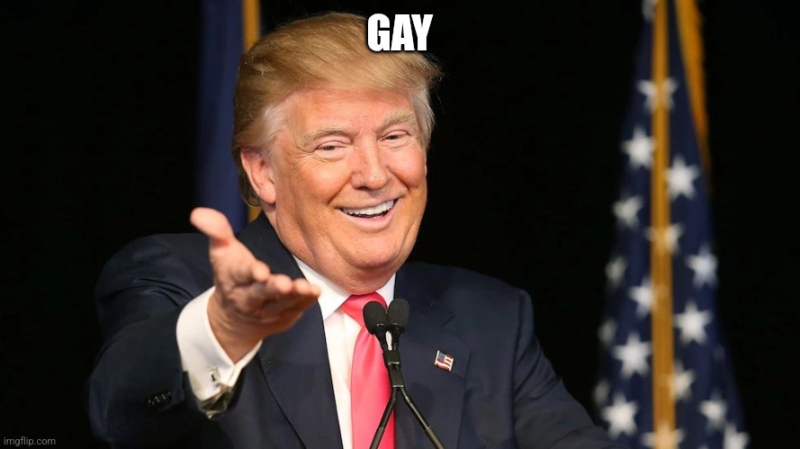 Gay Donnie | GAY | image tagged in gay donnie | made w/ Imgflip meme maker