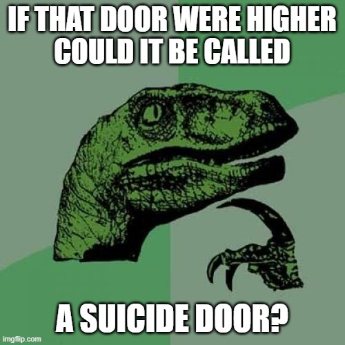 Philosoraptor Meme | IF THAT DOOR WERE HIGHER
COULD IT BE CALLED A SUICIDE DOOR? | image tagged in memes,philosoraptor | made w/ Imgflip meme maker