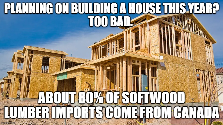 PLANNING ON BUILDING A HOUSE THIS YEAR?
TOO BAD. ABOUT 80% OF SOFTWOOD LUMBER IMPORTS COME FROM CANADA | image tagged in trump,tariffs,canada | made w/ Imgflip meme maker