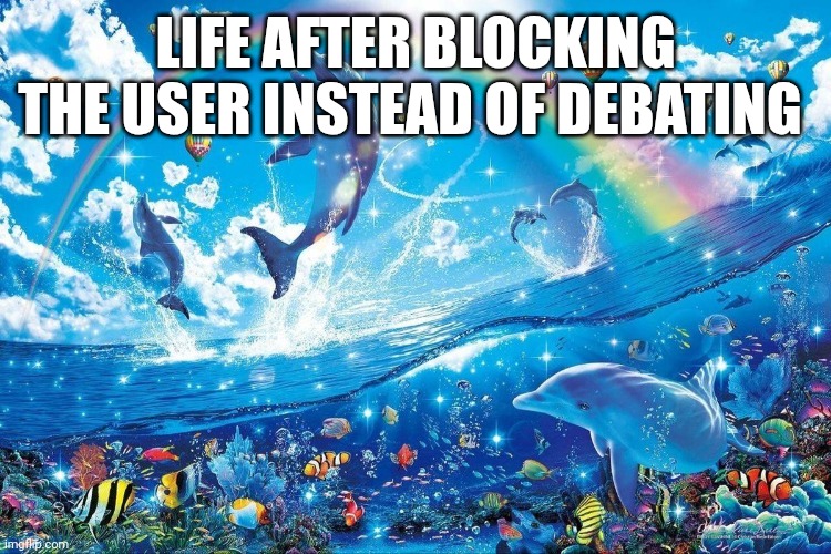 How life feels when | LIFE AFTER BLOCKING THE USER INSTEAD OF DEBATING | image tagged in how life feels when | made w/ Imgflip meme maker