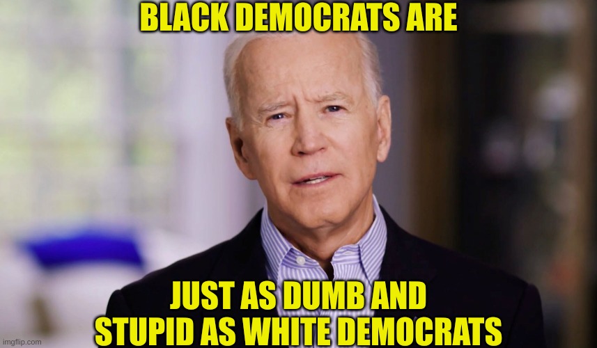 Joe Biden 2020 | BLACK DEMOCRATS ARE JUST AS DUMB AND STUPID AS WHITE DEMOCRATS | image tagged in joe biden 2020 | made w/ Imgflip meme maker