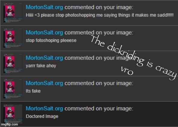 The dickriding is crazy vro | image tagged in the dickriding is crazy vro | made w/ Imgflip meme maker
