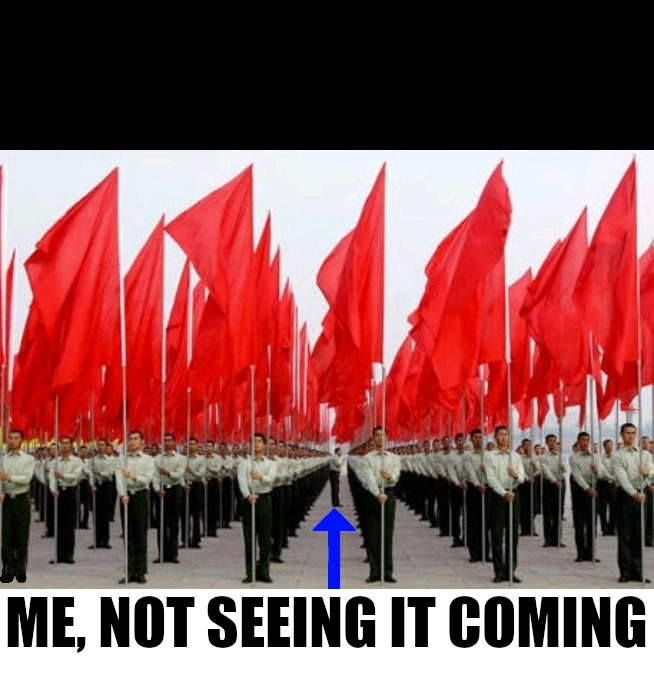 Red flags. Me, not seeing it coming Blank Meme Template