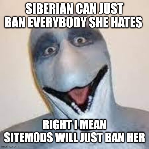 Can't be that bad hopefully | SIBERIAN CAN JUST BAN EVERYBODY SHE HATES; RIGHT I MEAN SITEMODS WILL JUST BAN HER | image tagged in dolphin man | made w/ Imgflip meme maker
