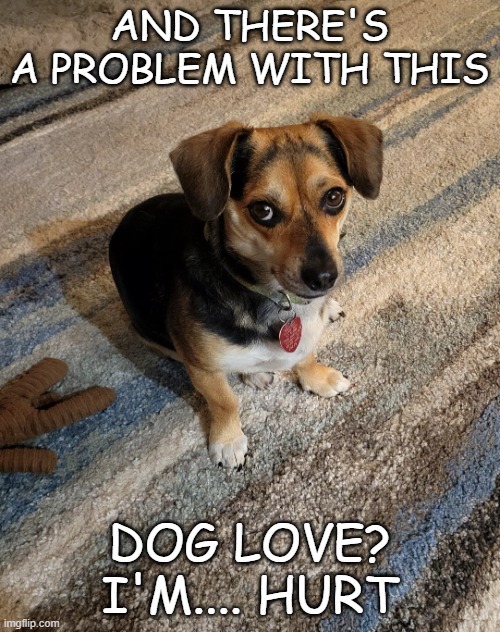 Dog | AND THERE'S A PROBLEM WITH THIS DOG LOVE? I'M.... HURT | image tagged in dog | made w/ Imgflip meme maker