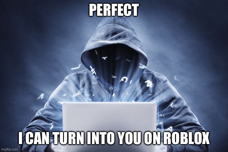 Hacker | PERFECT I CAN TURN INTO YOU ON ROBLOX | image tagged in hacker | made w/ Imgflip meme maker