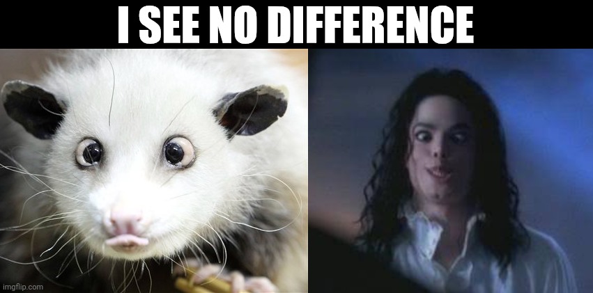 I SEE NO DIFFERENCE | image tagged in memes,michael jackson,ghosts,opossum,cute,funny | made w/ Imgflip meme maker