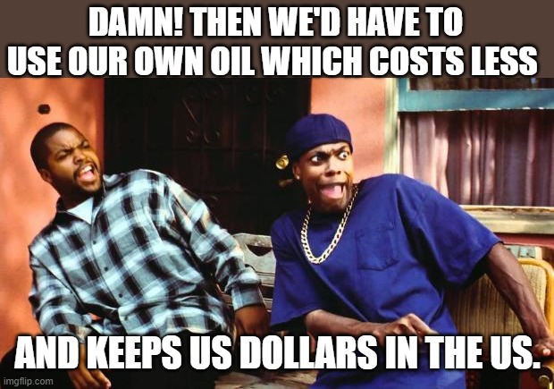 Ice Cube Damn | DAMN! THEN WE'D HAVE TO USE OUR OWN OIL WHICH COSTS LESS AND KEEPS US DOLLARS IN THE US. | image tagged in ice cube damn | made w/ Imgflip meme maker