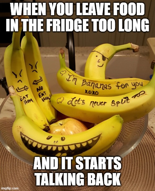food | WHEN YOU LEAVE FOOD IN THE FRIDGE TOO LONG; AND IT STARTS TALKING BACK | image tagged in memes | made w/ Imgflip meme maker