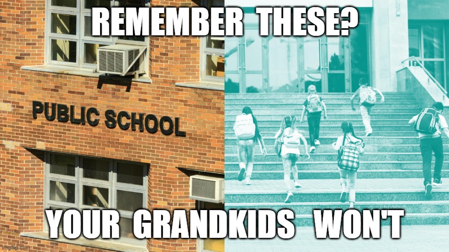 Dumb and Dumber Finally Won | REMEMBER  THESE? YOUR  GRANDKIDS   WON'T | image tagged in school | made w/ Imgflip meme maker