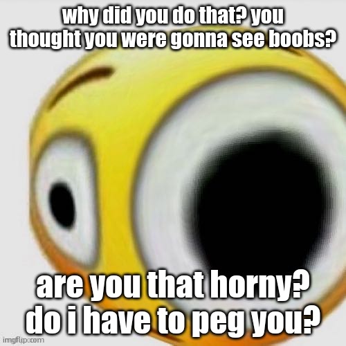 Big eye flushed | why did you do that? you thought you were gonna see boobs? are you that horny? do i have to peg you? | image tagged in big eye flushed | made w/ Imgflip meme maker